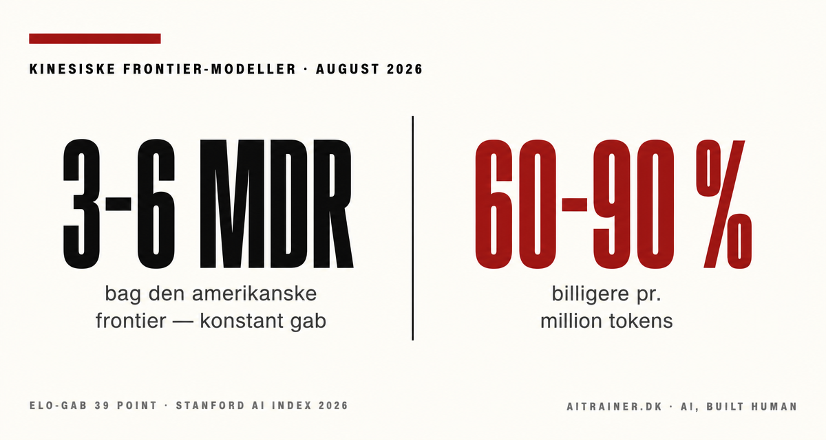 Kina er tre til seks måneder bagud i AI-kapløbet. Og 60 til 90 procent billigere.